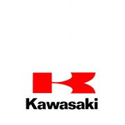 KAWASAKI 600 ZX-6RR